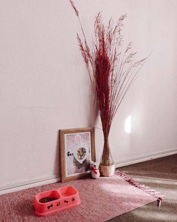Post: How to set up a pet-friendly home corner